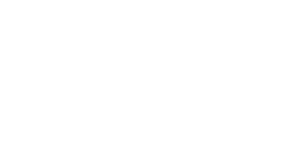 Project logo